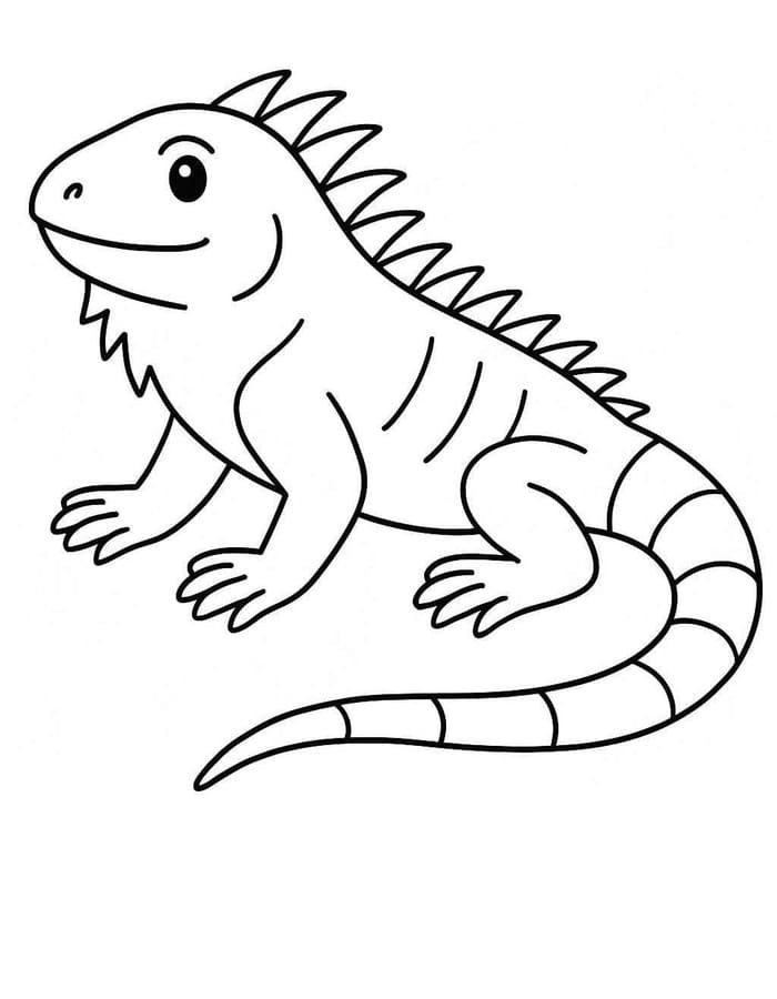 Iguana Free