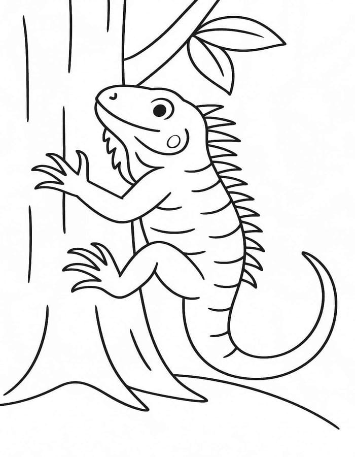 Iguana Simple