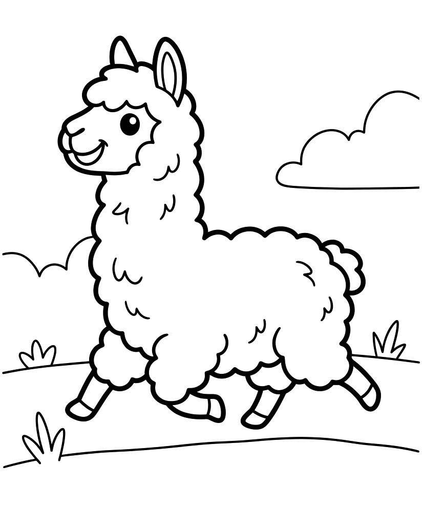 Image Alpaca Basic