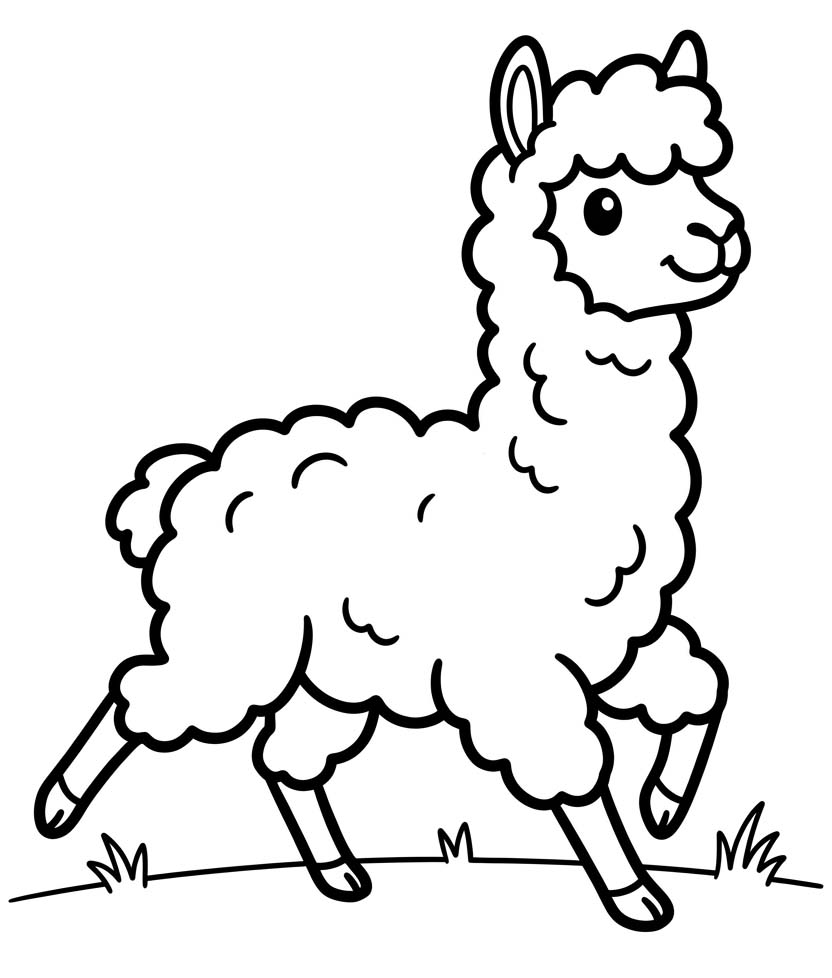 Image Alpaca Printable