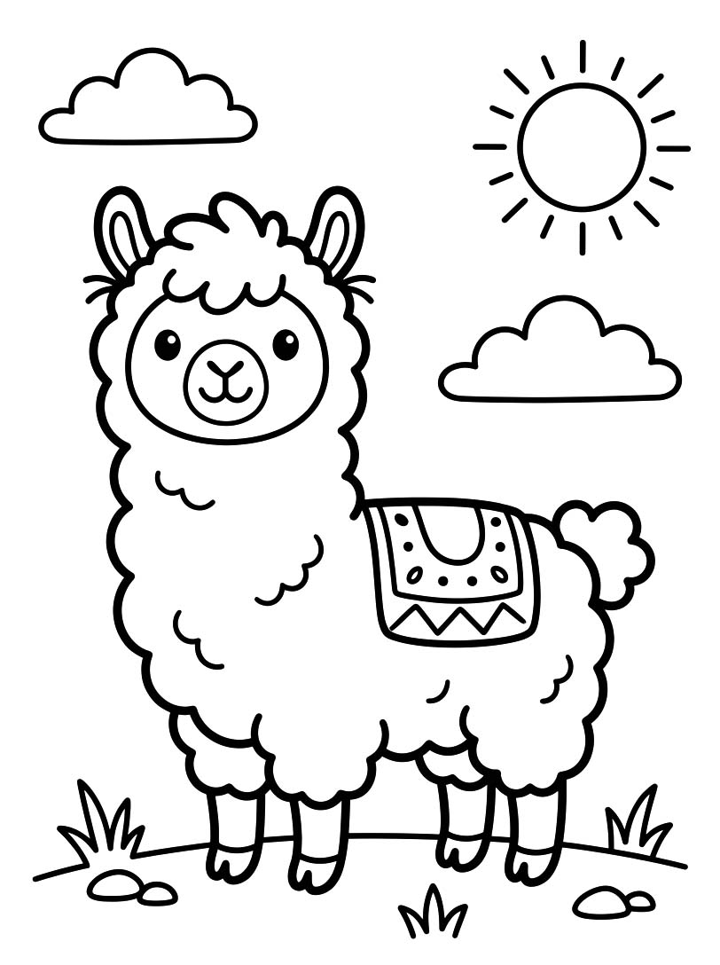 Image Alpaca