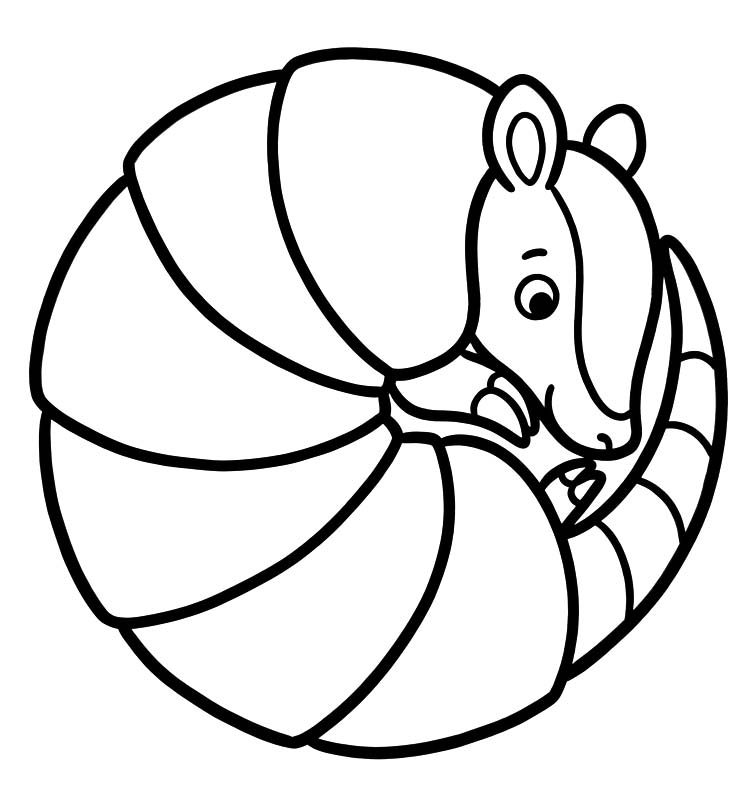 Image Armadillo Basic