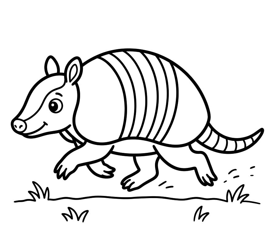 Image Armadillo Easy