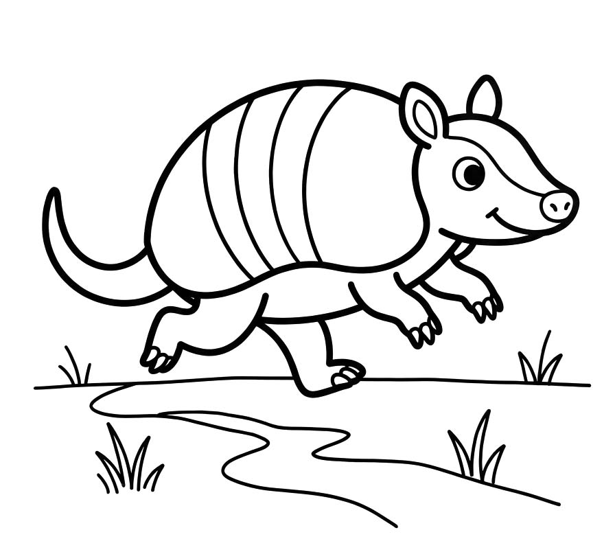 Image Armadillo Simple