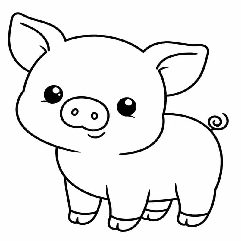 Image Baby Animal Pig