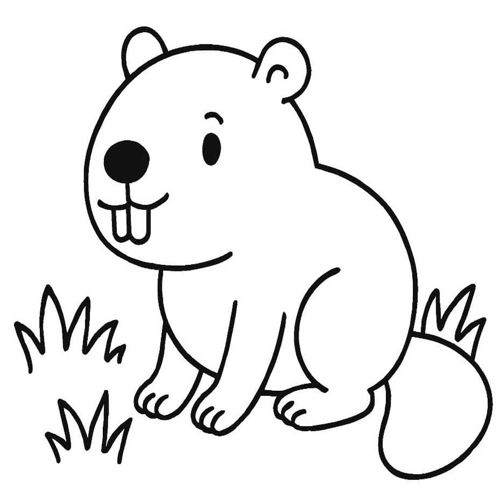 Image Beaver Printable