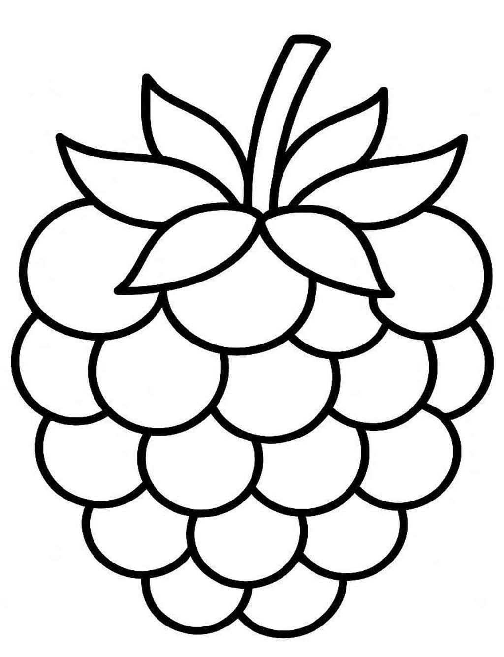 Image Blackberry Basic