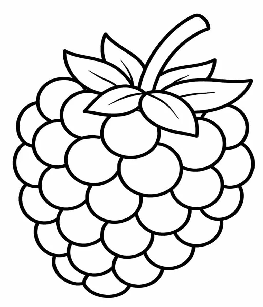 Image Blackberry Printable