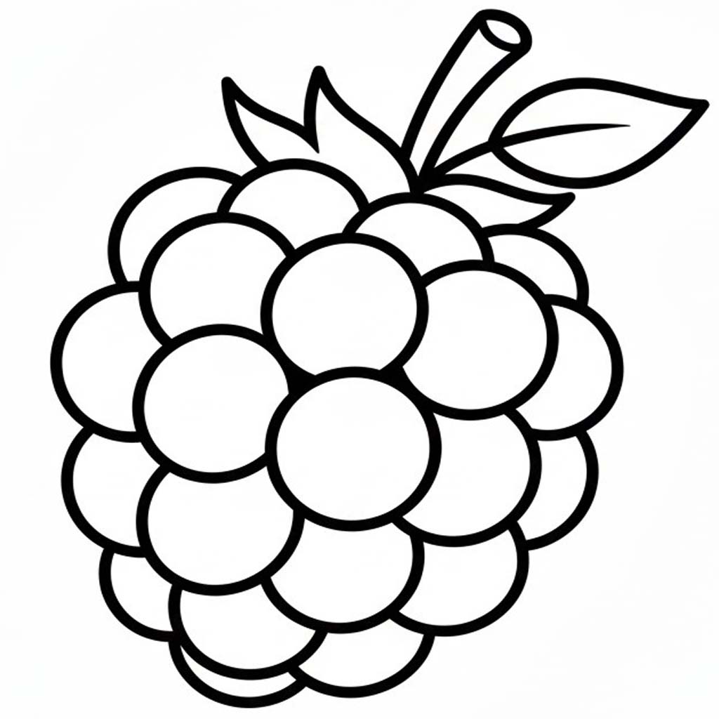 Image Blackberry Simple