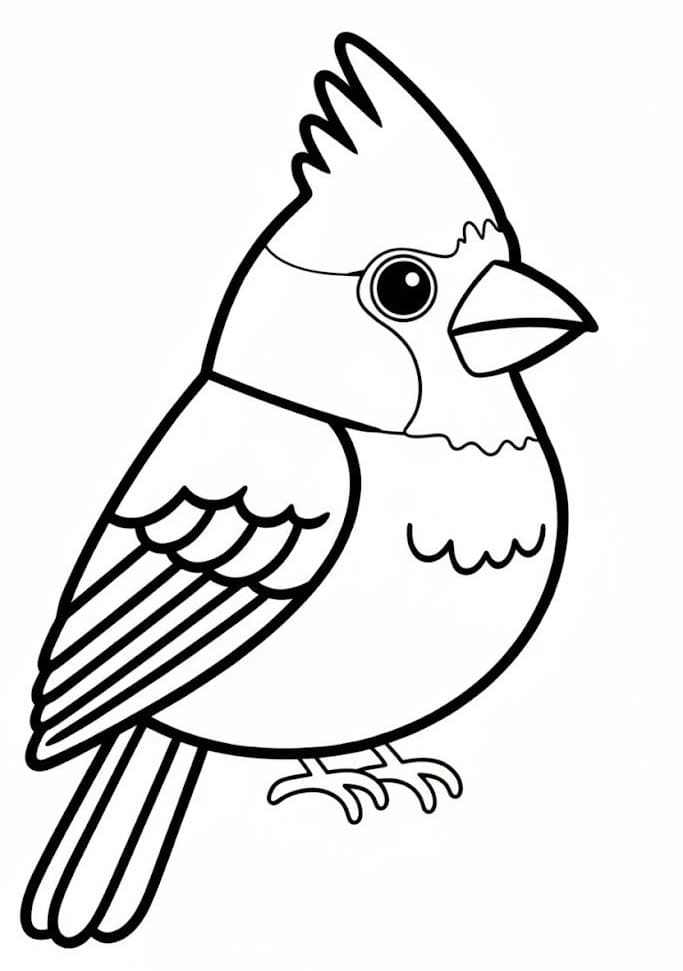 Image Cardinal Simple