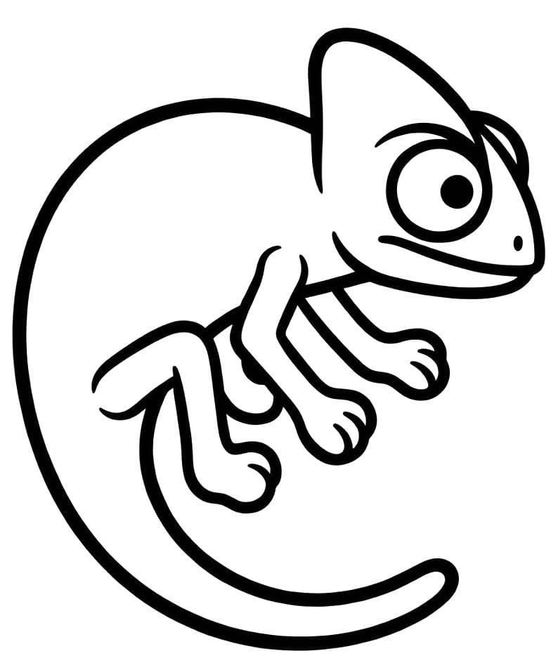 Image Chameleon Basic