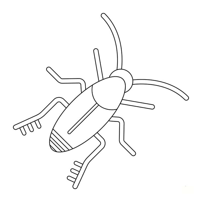 Image Cockroach Basic