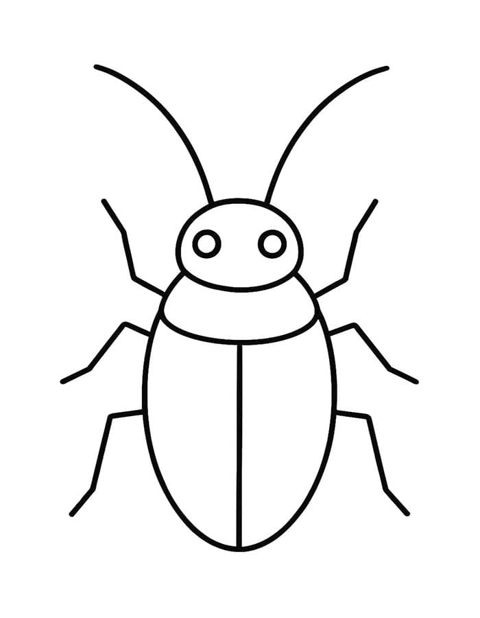 Image Cockroach Easy