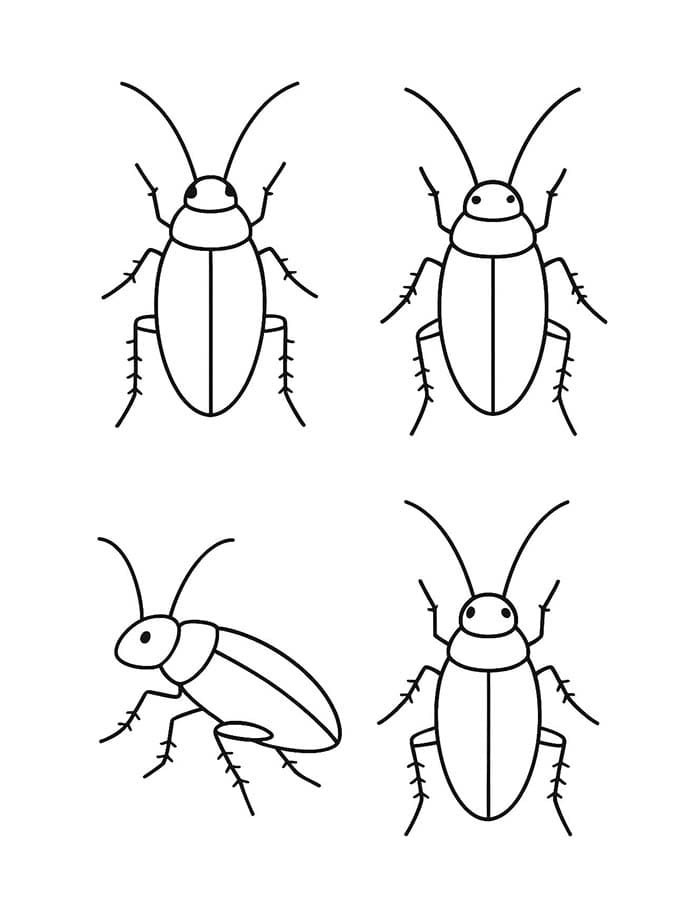 Image Cockroach Free Printable