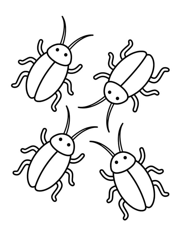 Image Cockroach Free