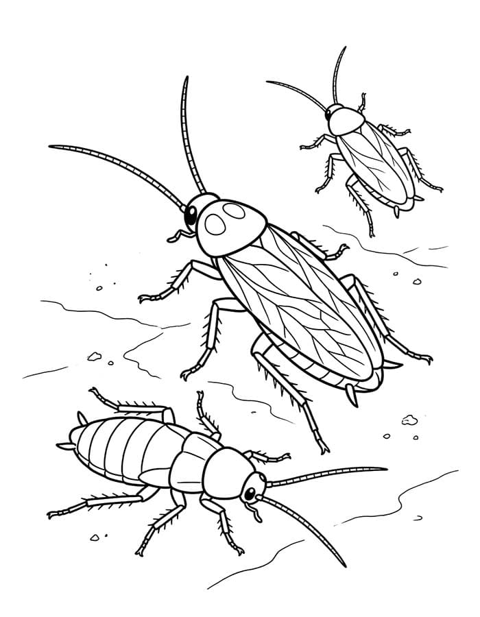 Image Cockroach
