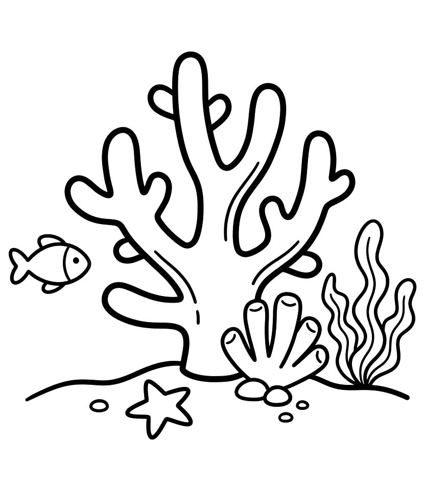 Image Coral Basic