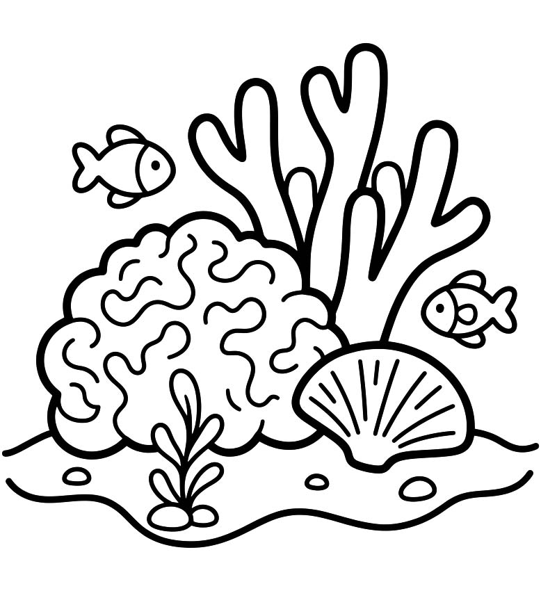 Image Coral Easy