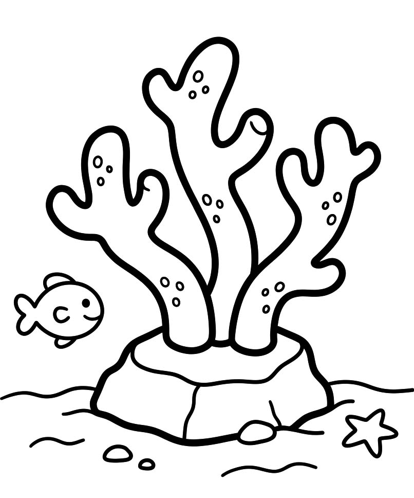 Image Coral Free