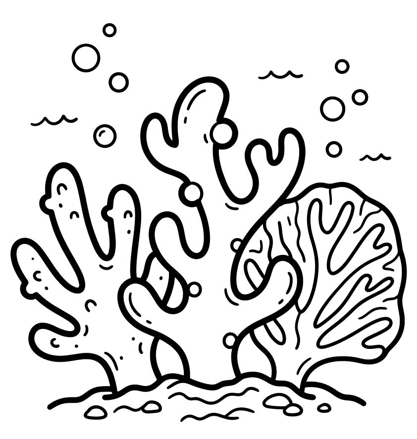 Image Coral Simple