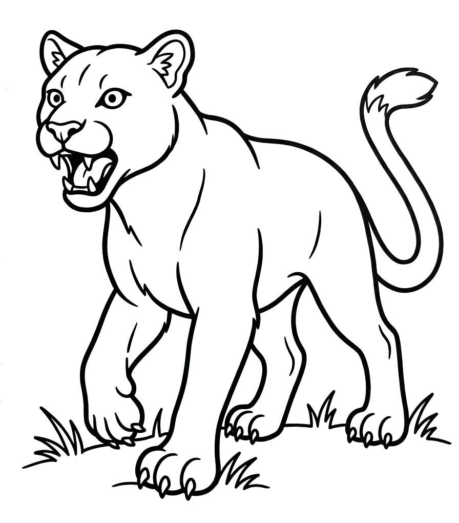 Image Cougar Basic