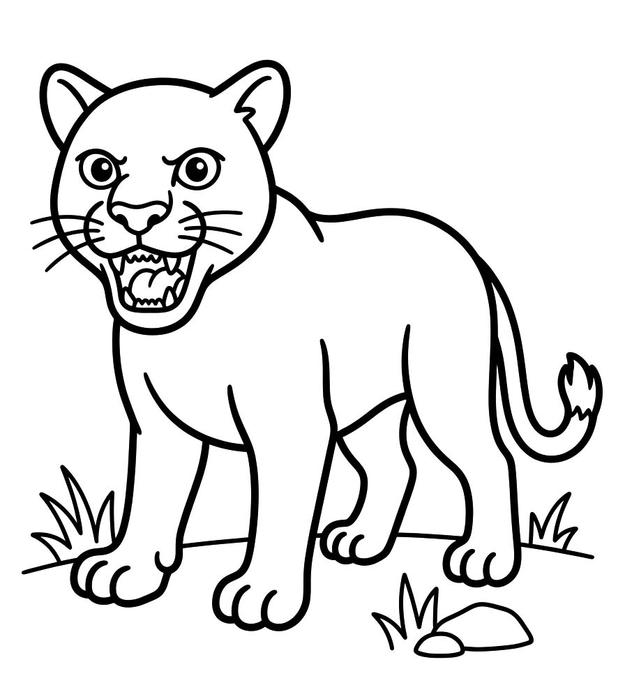 Image Cougar Easy