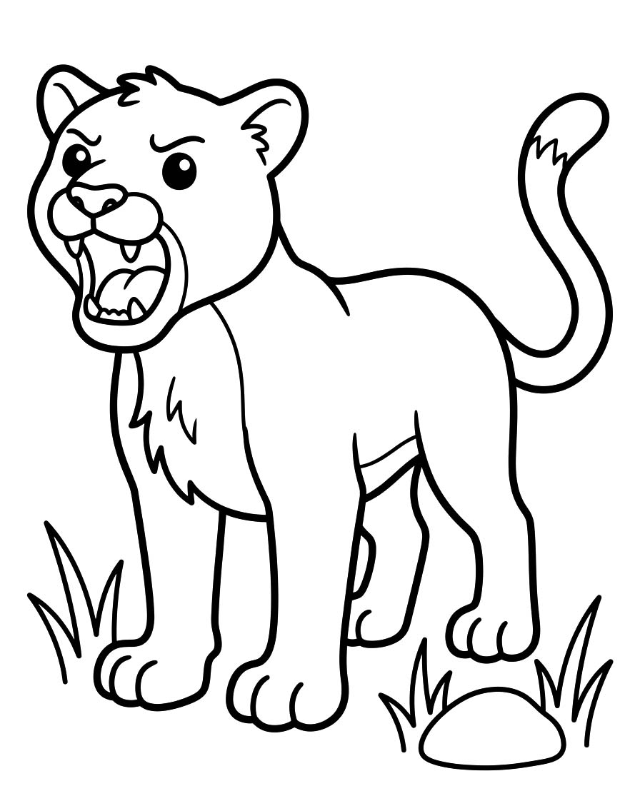 Image Cougar