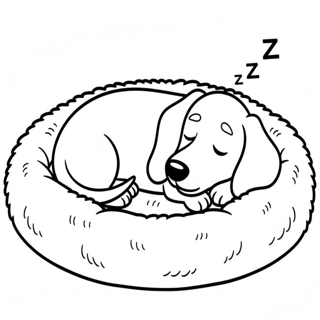 Image Dachshund Simple