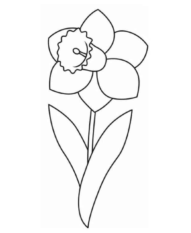 Image Daffodil Free Printable