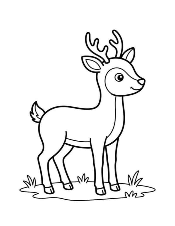 Image Deer Basic