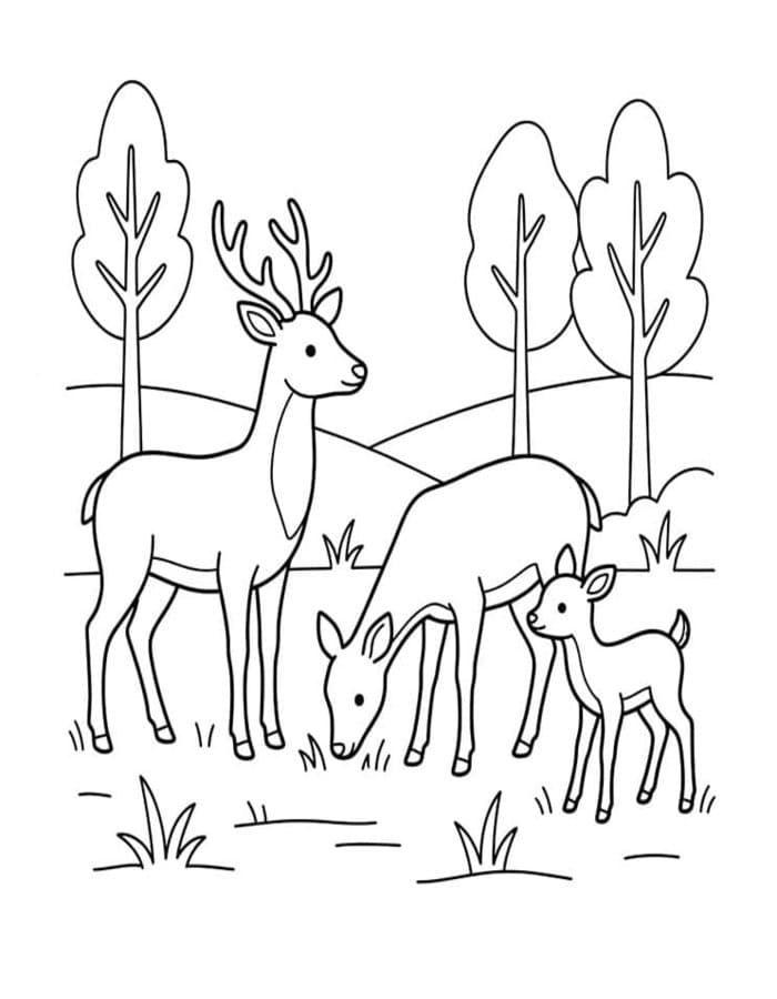 Image Deer Easy