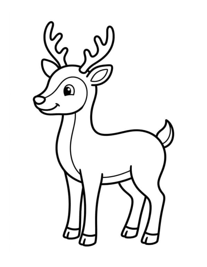 Image Deer Free