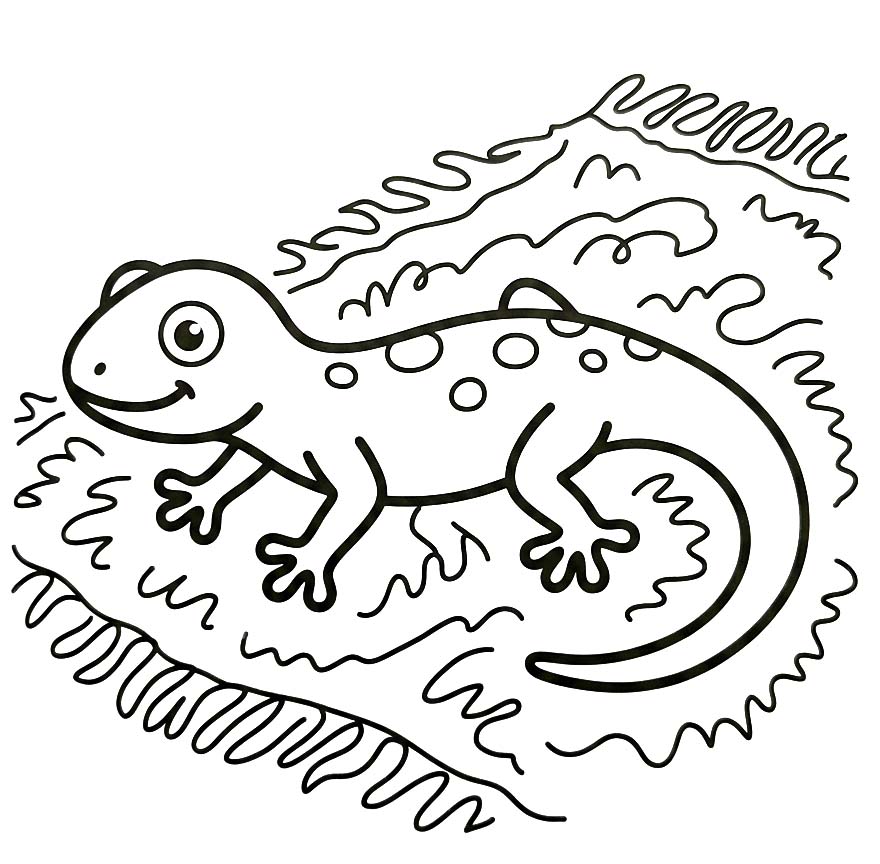 Image Gecko Free