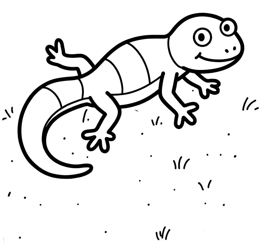 Image Gecko