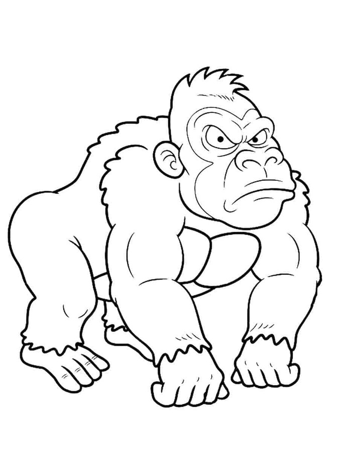 Image Gorilla