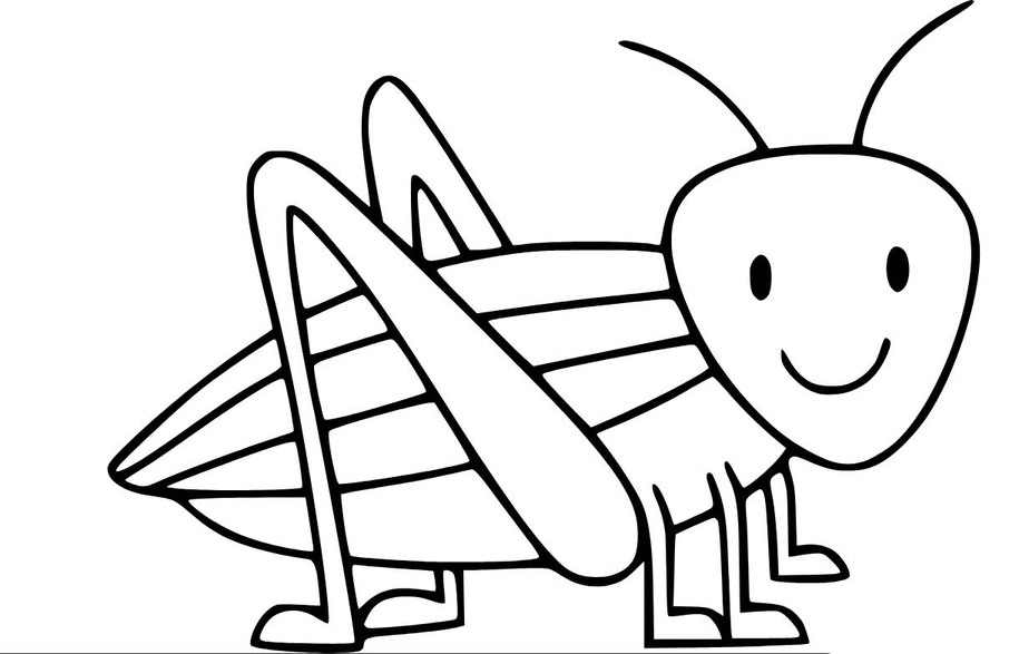 Image Grasshopper Basic