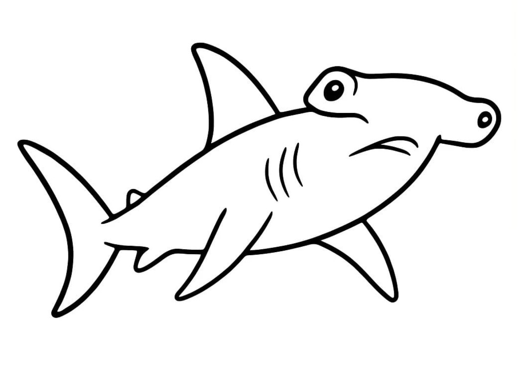 Image Hammerhead Shark