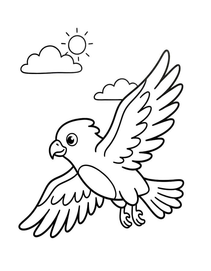 Image Hawk Basic