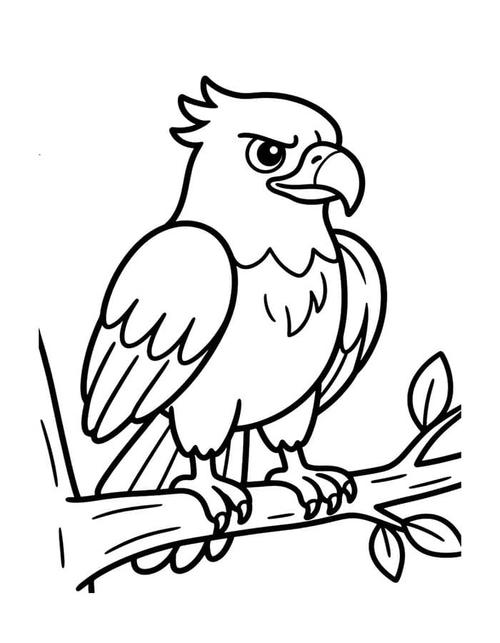 Image Hawk Easy