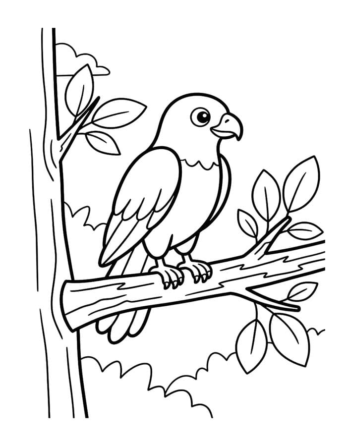 Image Hawk Free Printable