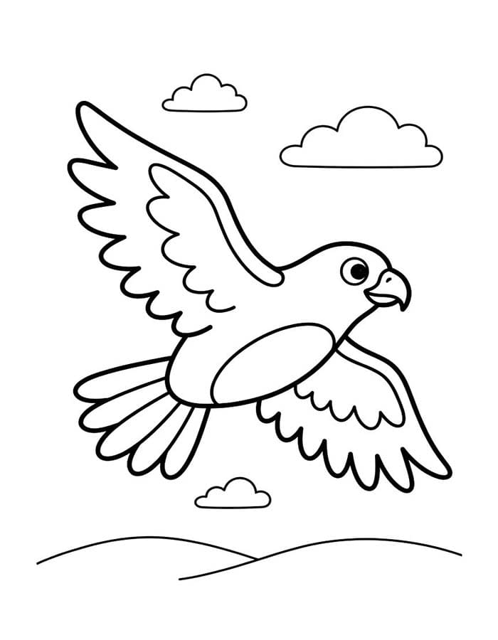 Image Hawk Free