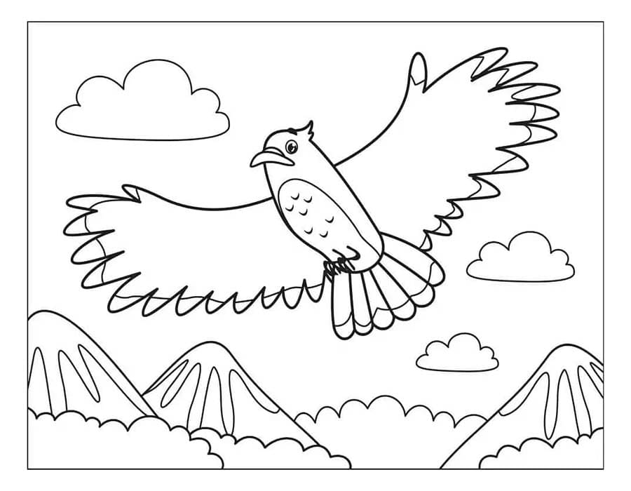 Image Hawk Simple