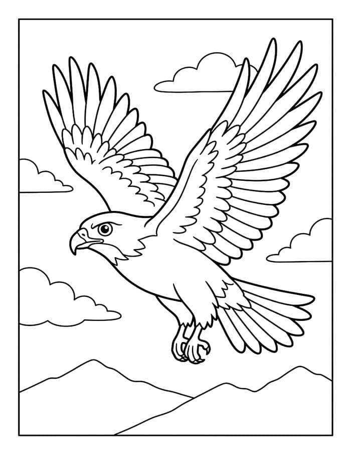 Image Hawk