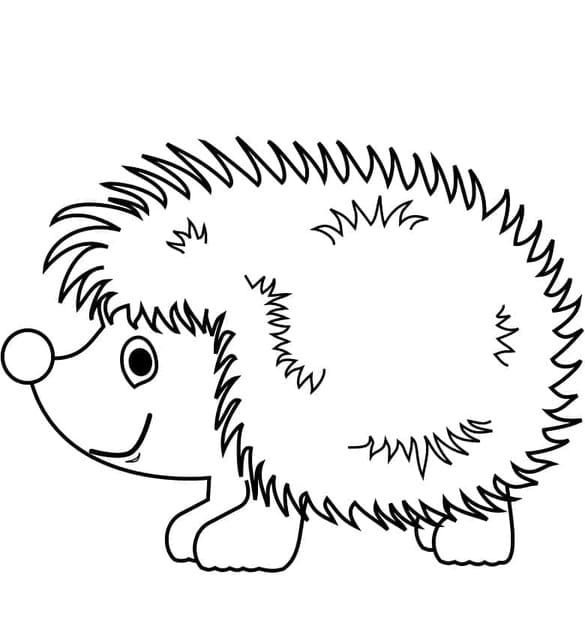 Image Hedgehog easy