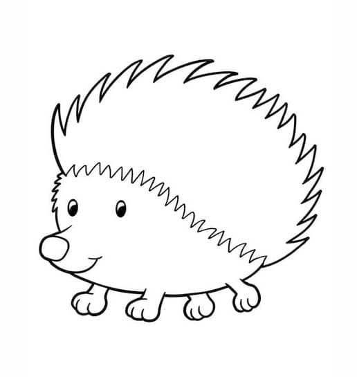Image Hedgehog printable