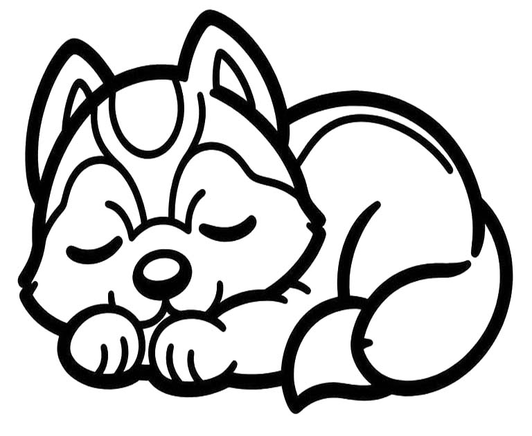 Image Husky Easy