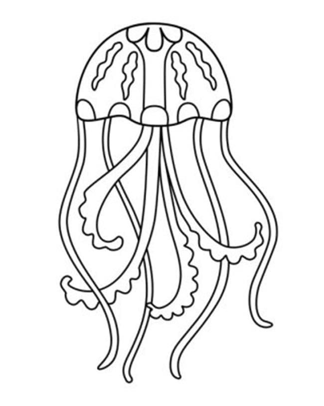 Image JellyFish Free Printable