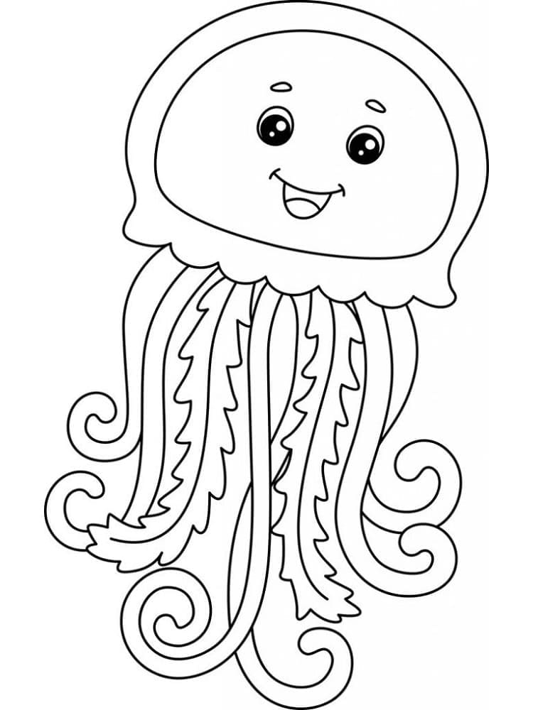 Image JellyFish Simple