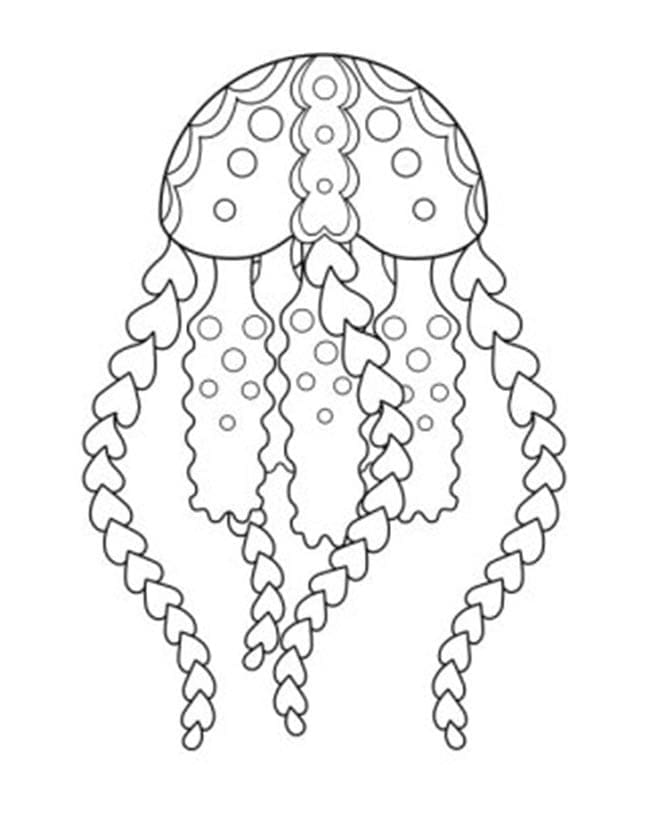 Image JellyFish