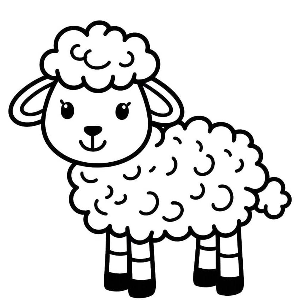 Image Lamb basic